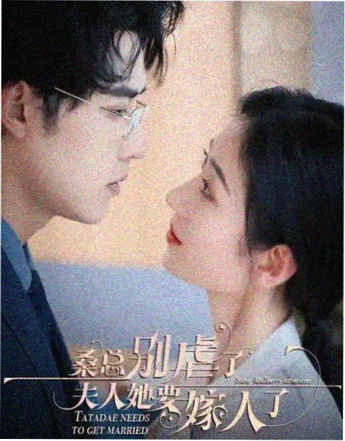 剧集旧城档案封面
